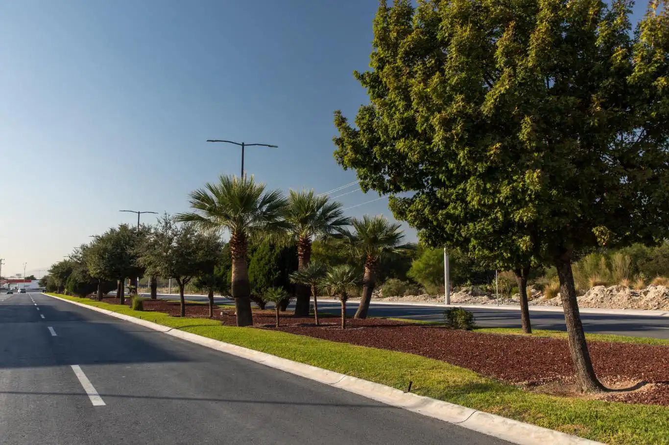 02 FINSA Jardineria Parque